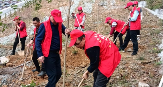 村企共建，共植先锋林