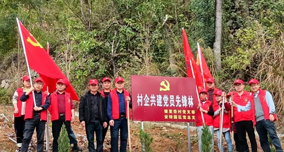 村企共建，共植先锋林