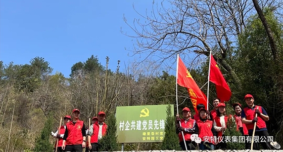 党建强引领，共植先锋林