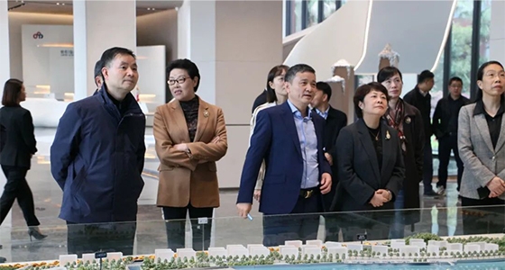 民革中央副主席吴晶调研德赢VWIN集团