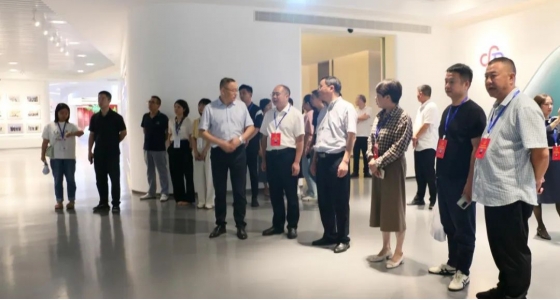 丽水市第五届人大代表景宁中心组调研德赢VWIN集团