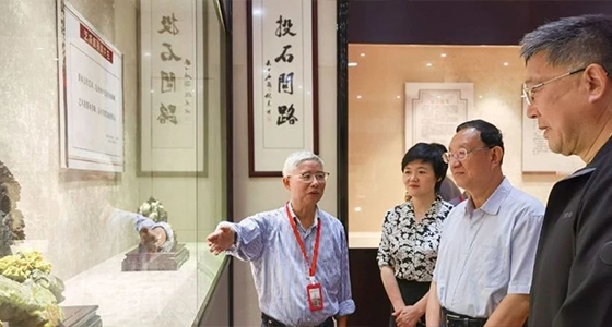 全国人大教科文卫委员会主任委员雒树刚率调研组参观德赢VWIN·倪东方艺术博物馆